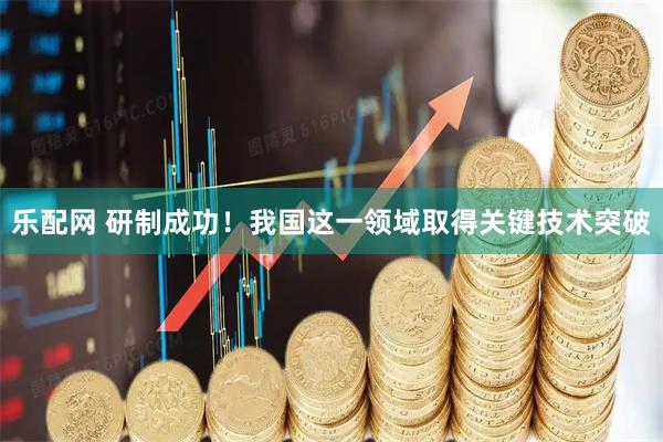 乐配网 研制成功！我国这一领域取得关键技术突破