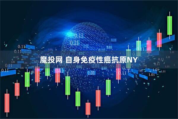 魔投网 自身免疫性癌抗原NY
