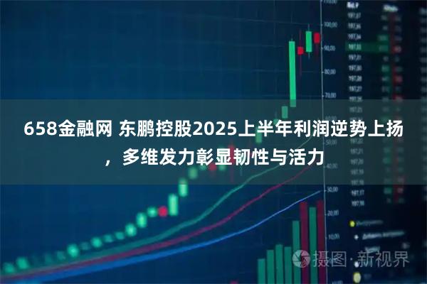 658金融网 东鹏控股2025上半年利润逆势上扬，多维发力彰显韧性与活力