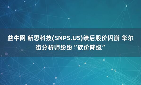 益牛网 新思科技(SNPS.US)绩后股价闪崩 华尔街分析师纷纷“砍价降级”