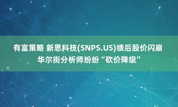 有富策略 新思科技(SNPS.US)绩后股价闪崩 华尔街分析师纷纷“砍价降级”