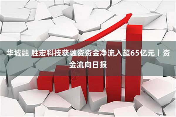 华城融 胜宏科技获融资资金净流入超65亿元丨资金流向日报