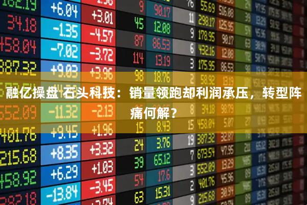 融亿操盘 石头科技：销量领跑却利润承压，转型阵痛何解？