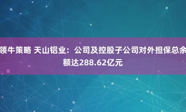 领牛策略 天山铝业：公司及控股子公司对外担保总余额达288.62亿元