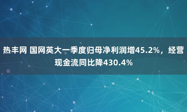 热丰网 国网英大一季度归母净利润增45.2%，经营现金流同比降430.4%