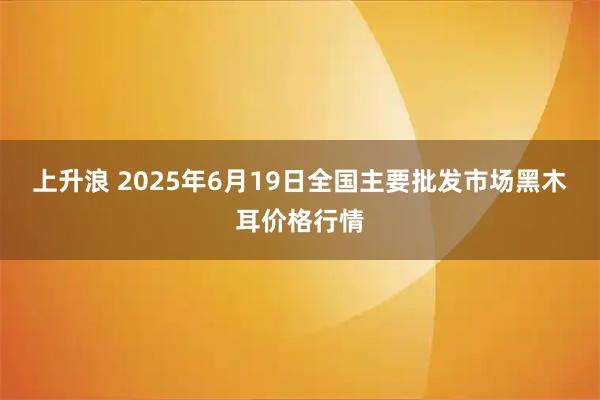 上升浪 2025年6月19日全国主要批发市场黑木耳价格行情