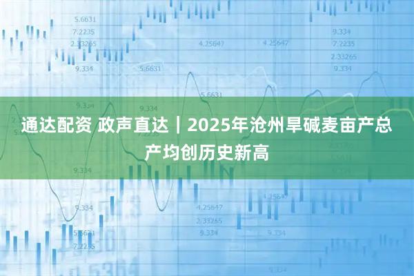 通达配资 政声直达｜2025年沧州旱碱麦亩产总产均创历史新高