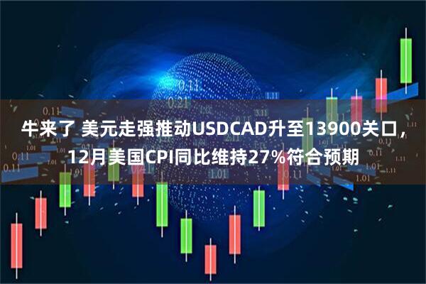 牛来了 美元走强推动USDCAD升至13900关口，12月美国CPI同比维持27%符合预期