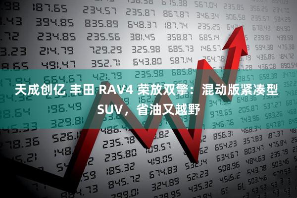 天成创亿 丰田 RAV4 荣放双擎：混动版紧凑型 SUV，省油又越野