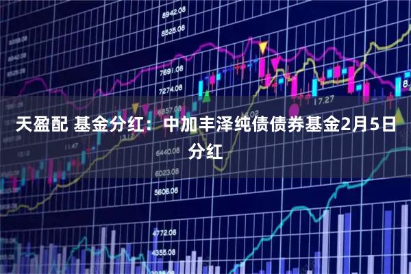 天盈配 基金分红：中加丰泽纯债债券基金2月5日分红