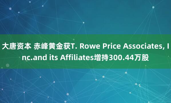大唐资本 赤峰黄金获T. Rowe Price Associates, Inc.and its Affiliates增持300.44万股